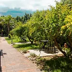 Cannamele Carini
